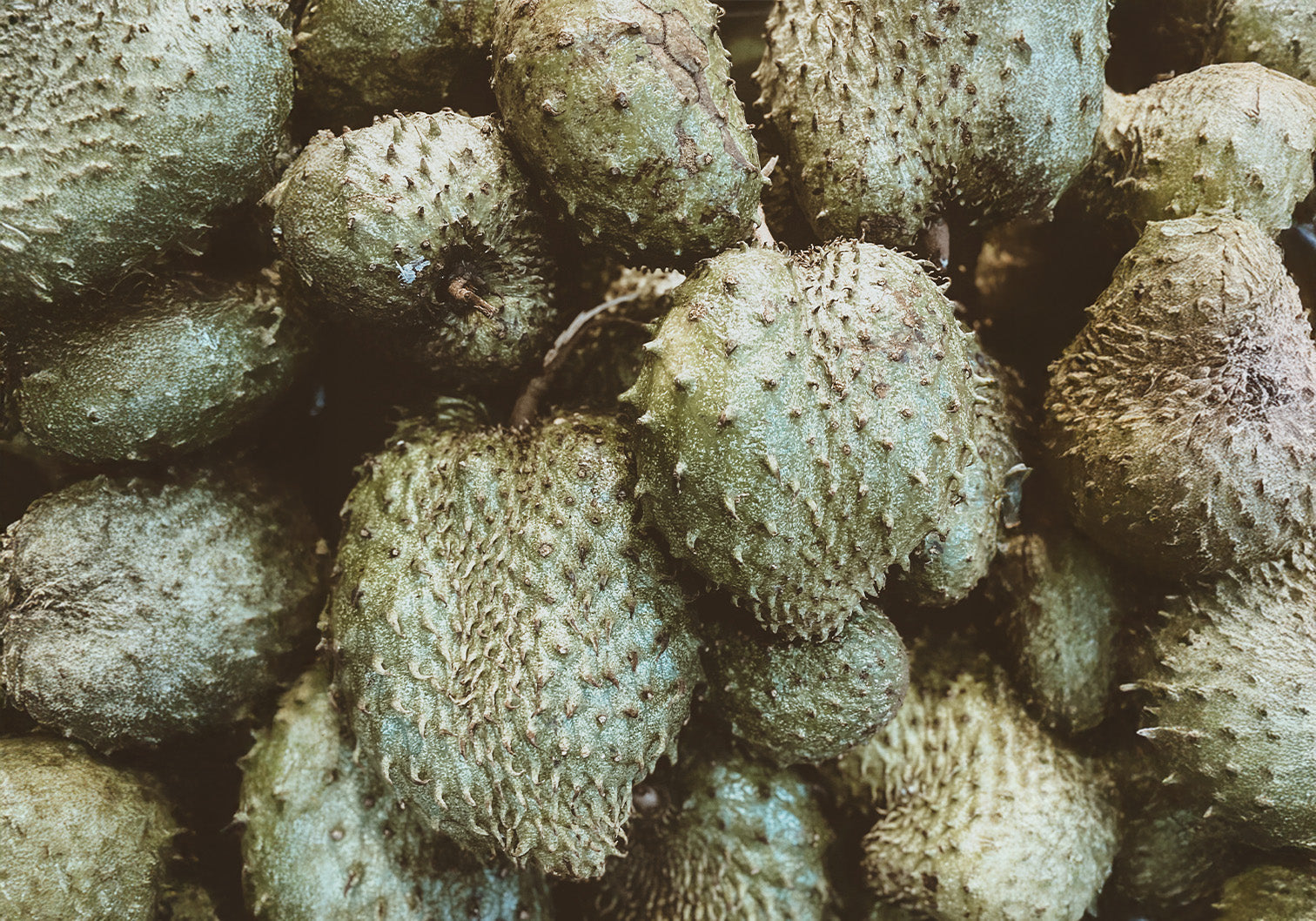 The Queer Roots of maison andi